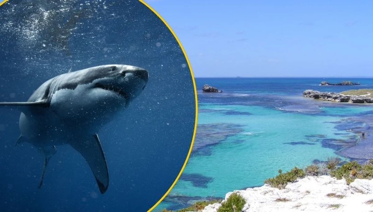 W sobotę na zachodnim wybrzeżu Australii doszło do tragicznego w skutkach ataku rekina. 38-latek zginął podczas łowienia ryb w pobliżu wyspy Rottnest. Media ujawniły dziś, że mężczyzna osierocił dwie małe córki.