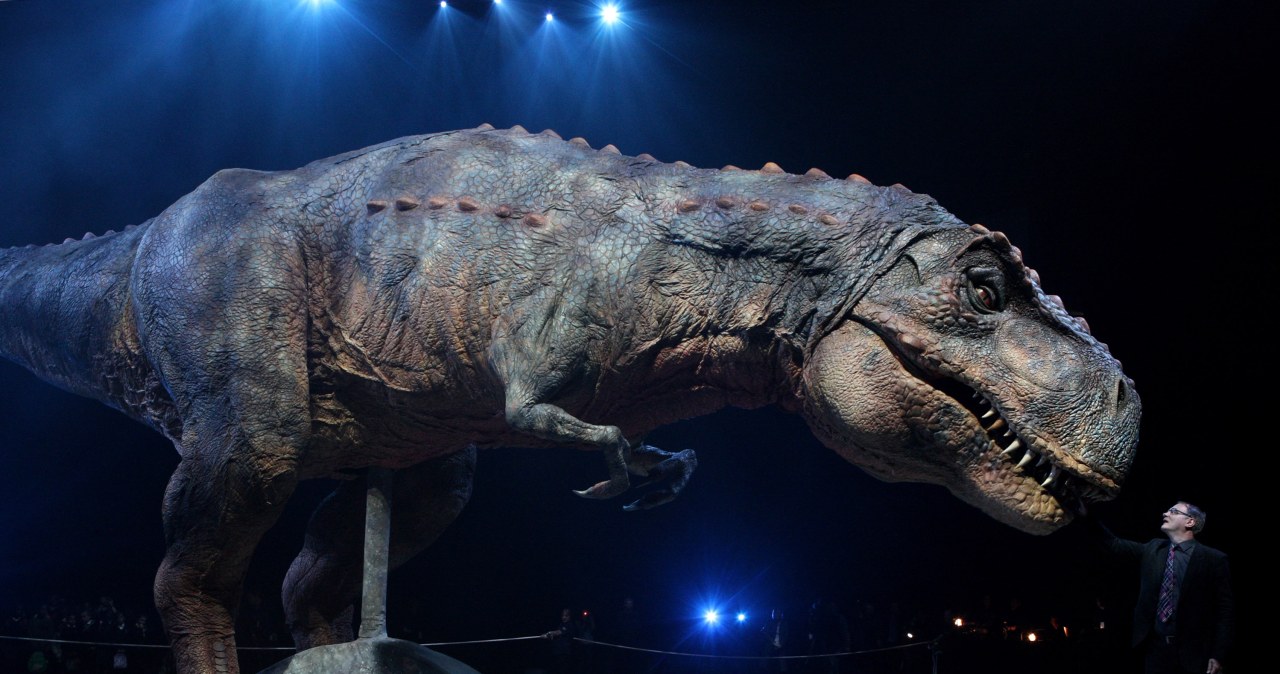 Gigantyczny tyranozaur sprzed 74 mln lat odkryty w Nowym Meksyku Gigantyczny tyranozaur sprzed 74 mln lat odkryty w Nowym Meksyku