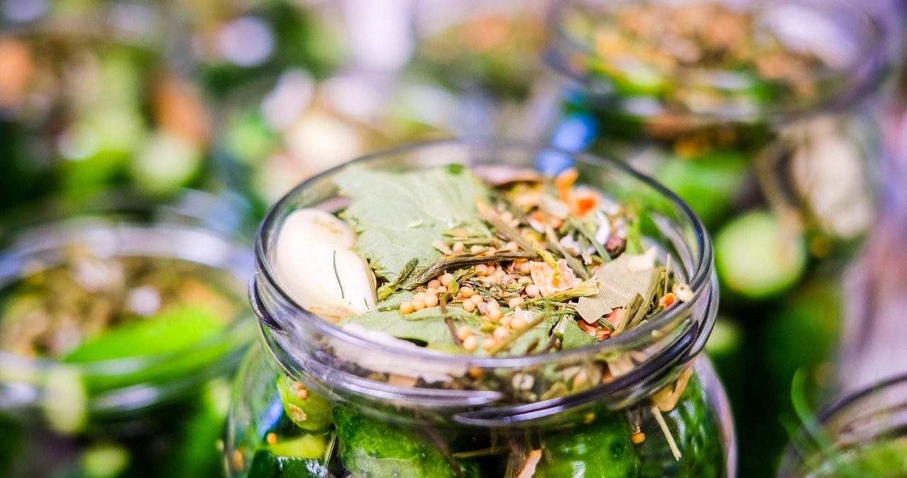 Przepis na ogórki małosolne po turecku. Wychodzą aromatyczne i ultrachrupiące