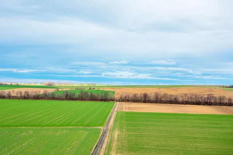 Kupują działkę, a potem niespodzianka. Bez tego nie pozwolą zbudować domu