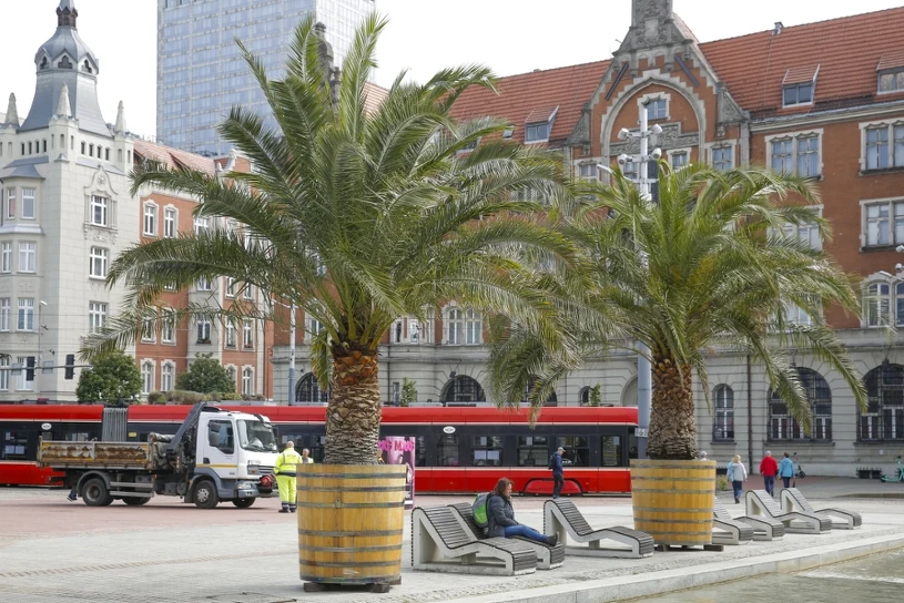 Ceny noclegów w polskim mieście wystrzeliły. Drożej niż w Gołębiewskim