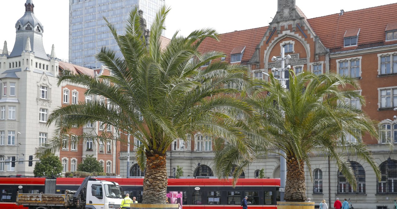 Ceny noclegów w polskim mieście wystrzeliły. Drożej niż w Gołębiewskim
