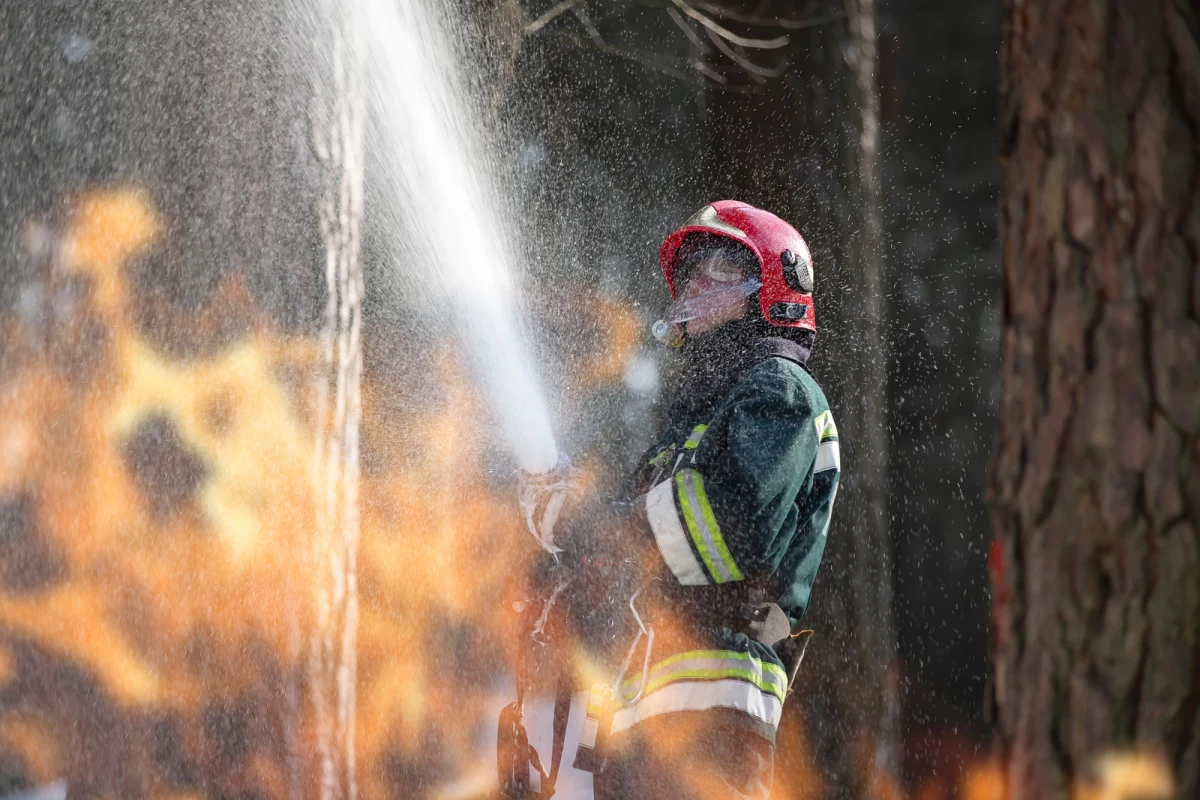 Strażak ochotnik, który najpierw wzniecił pożar lasu na pograniczu Dolnego Śląska i Ziemi Lubuskiej, a następnie brał udział w akcji gaśniczej, usłyszał zarzut w prokuraturze i decyzją sądu trafił do tymczasowego aresztu. 33-letni mężczyzna przyznał się i stwierdził, że podpalał las z głupoty.