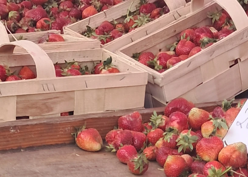 Twierdzą, iż sprzedają polskie truskawki. Ceny bardzo podejrzane