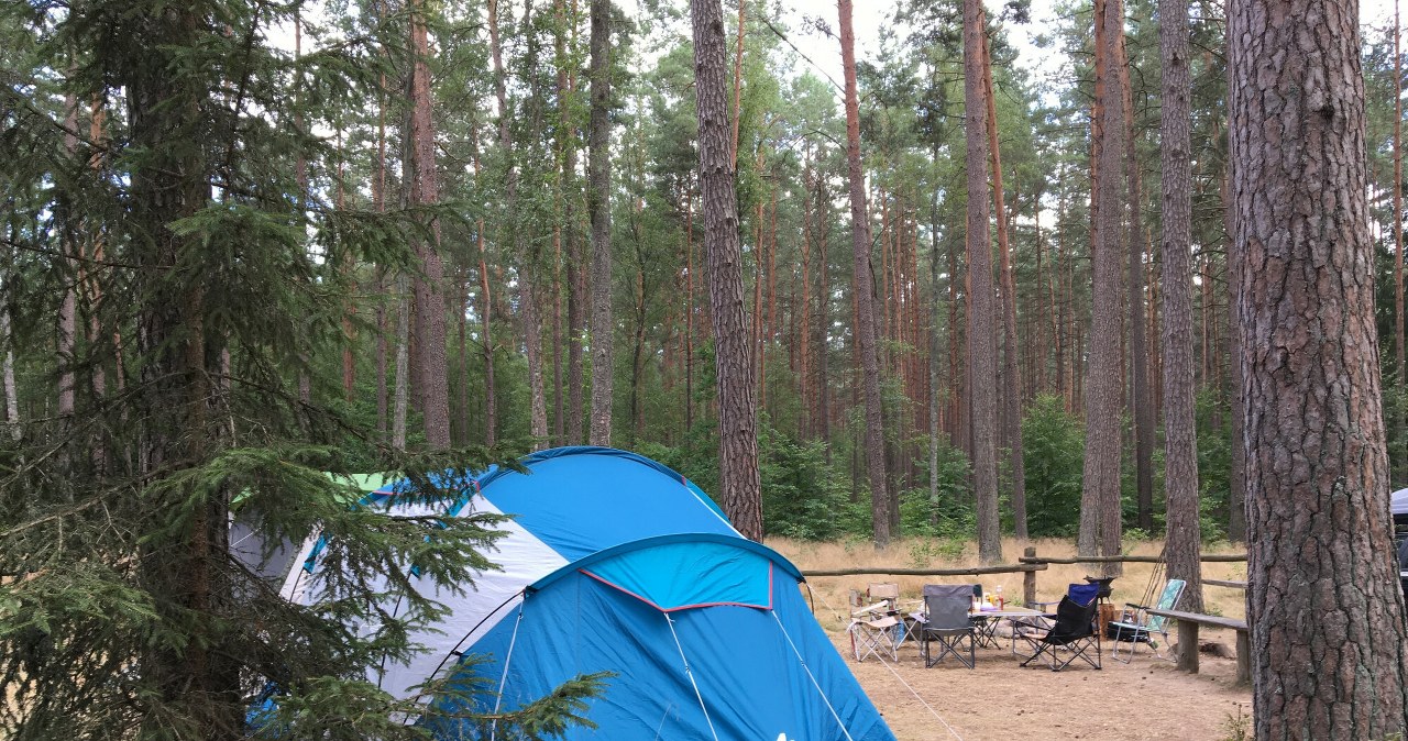 Zakaz nocowania w lasach na Podkarpaciu. Powód to niedźwiedzie Zakaz nocowania w lasach na Podkarpaciu. Powód to niedźwiedzie