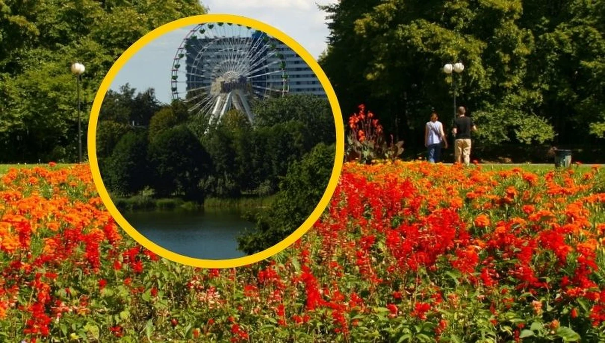 Prawie 535 hektarów powierzchni, ponad milion drzew i unikalne atrakcje na skalę europejską. Park Śląski w Chorzowie to absolutny fenomen, który rozmiarem zawstydza najsłynniejsze miejskie ogrody świata. Jak z powojennego, zniszczonego przemysłem terenu udało się stworzyć zielone płuca Śląska, które każdego roku przyciągają miliony turystów? Oto niezwykła opowieść o polskim rekordziście.