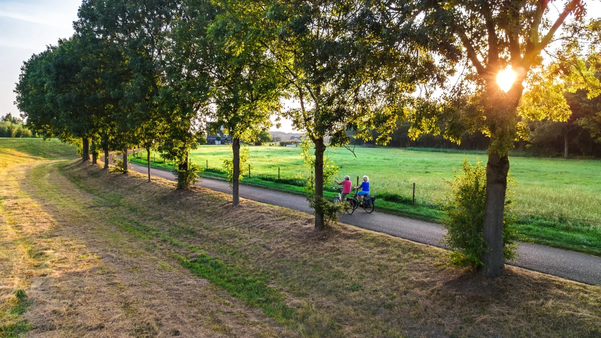 W województwie lubelskim powstanie około 125 kilometrów nowych ścieżek rowerowych, które połączą Kraśnik z miejscowością Siedliska w powiecie tomaszowskim. Inwestycja o wartości 263 milionów złotych ma zakończyć się do 2028 roku, a z nowej trasy ma korzystać rocznie nawet 185 tysięcy osób.