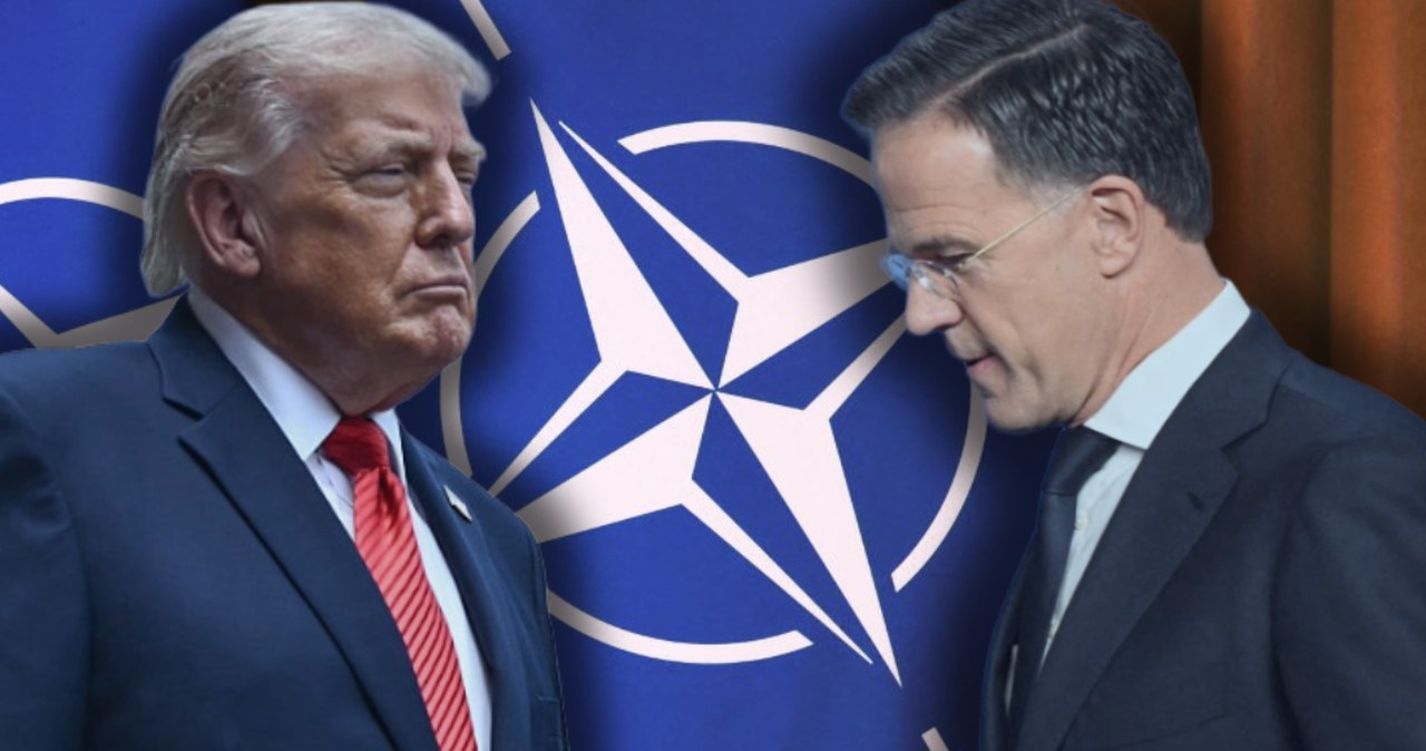 NATO z "planem B"? Media: Rutte zakazał wszelkich dyskusji