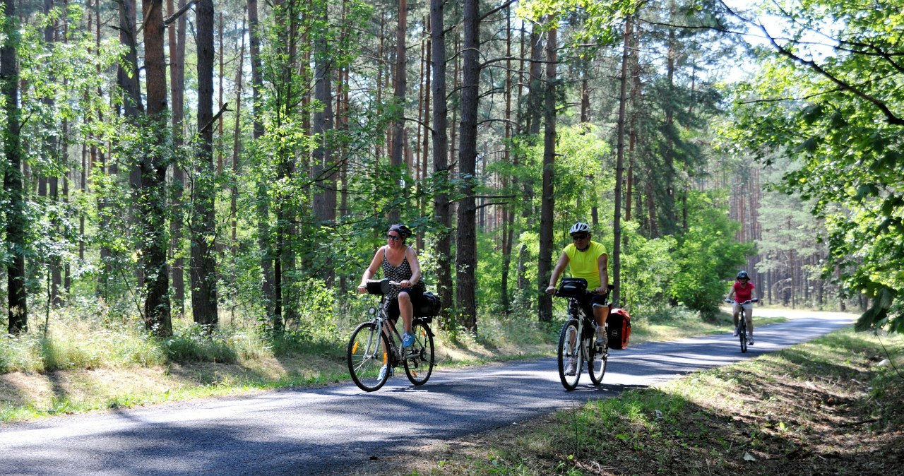 Roztocze inwestuje w ścieżki rowerowe. Będzie 125 km nowych tras