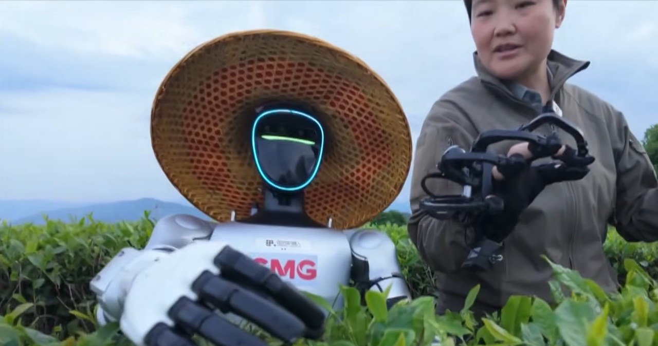 Roboty pracują z ludźmi w Chinach. Nowe możliwości i wyzwania dla rolnictwa