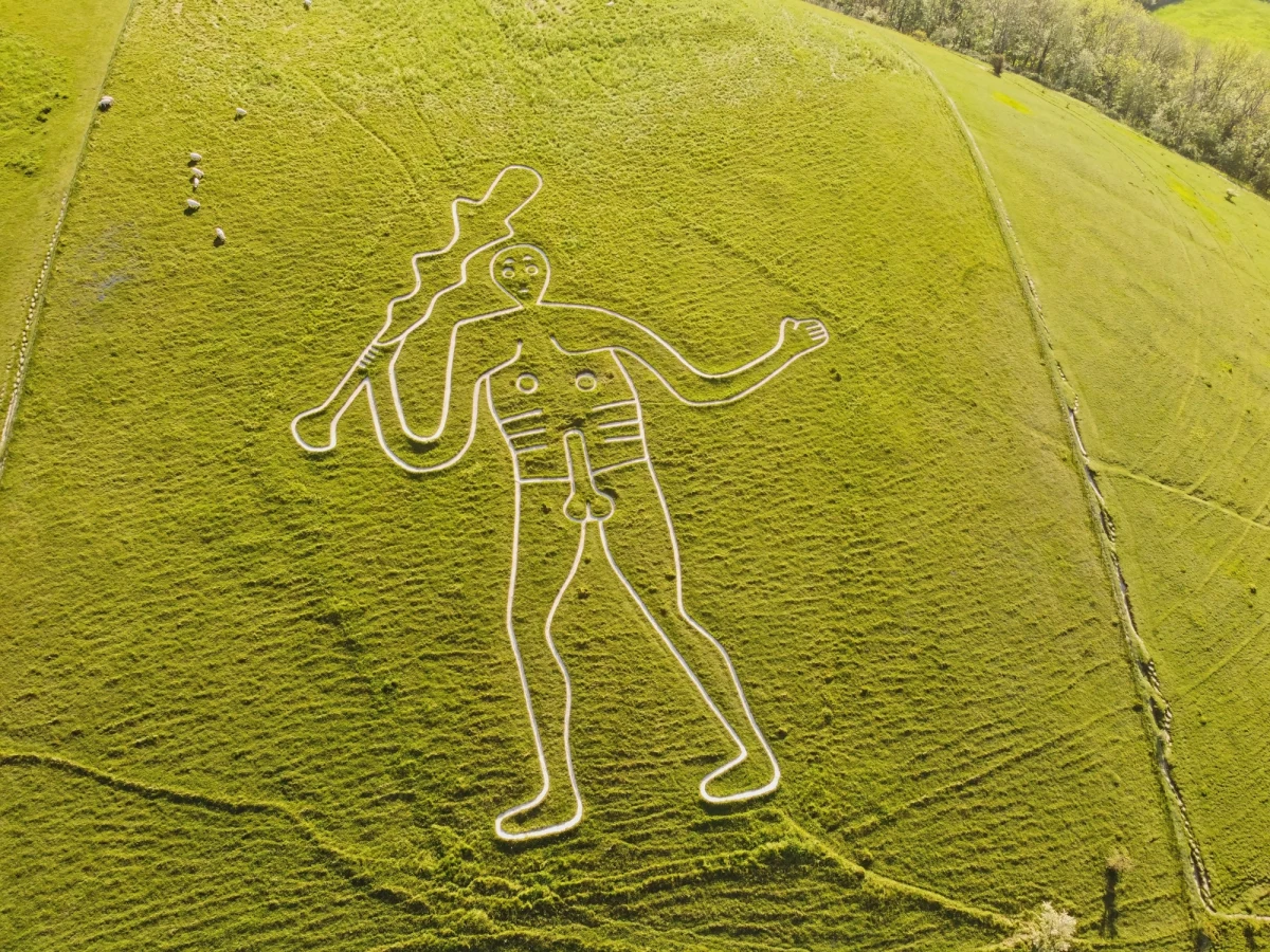 Słynny Gigant z Cerne Abbas w hrabstwie Dorset w Wielkiej Brytanii przejdzie gruntowną renowację. Pracownicy i wolontariusze organizacji National Trust użyją ton kredy, by przywrócić wyrazisty kontur najbardziej znanemu brytyjskiemu geoglifowi.