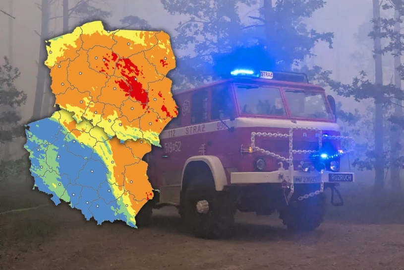 W polskich lasach wciąż jest niebezpiecznie. 