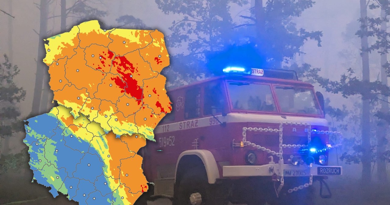 W polskich lasach wciąż jest niebezpiecznie. "Wystarczy chwila nieuwagi"
