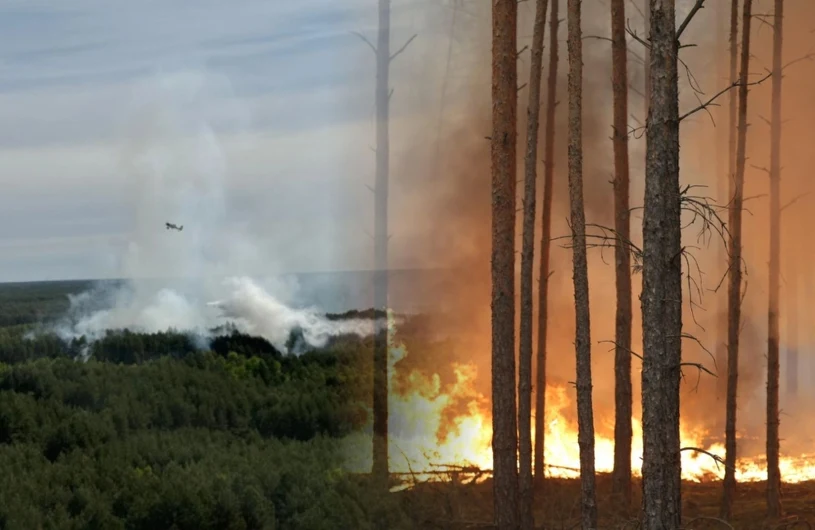 Pożar na Mazowszu się rozprzestrzenił. Najnowsze informacje, apel premiera
