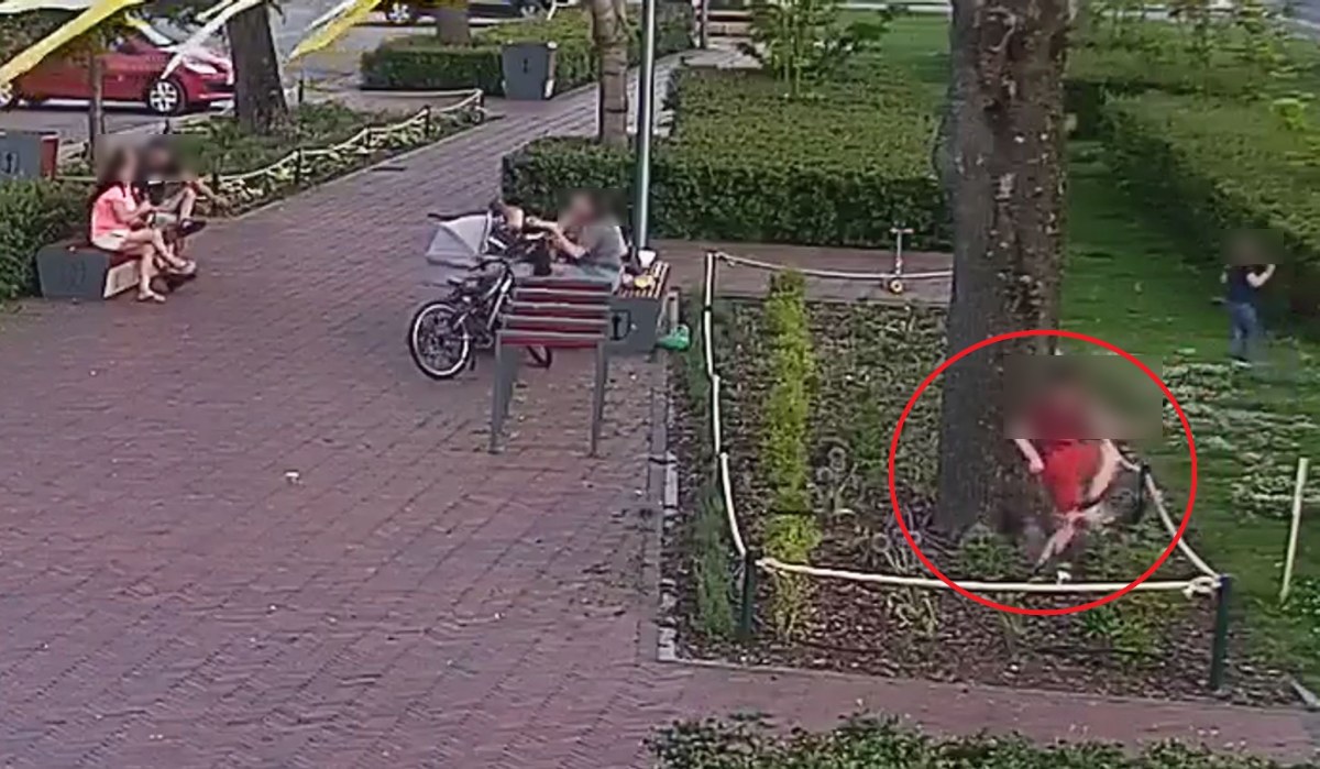 "Rodzice zajęci rozmową, dzieci beztrosko demolują klomby". Służby pokazły zdjęcia