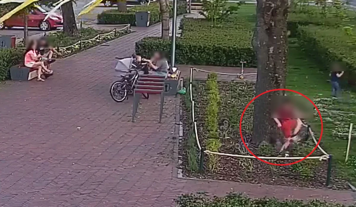 "Rodzice są zajęci rozmową, a dzieci w tym czasie beztrosko demolują klomby na Skwerze Dominikańskim - taki obrazek zaobserwowały w ostatnich dniach kamery monitoringu" - poinformowała straż miejska w Górze Kalwarii. Służby poinformowały, że straty, które spowodowały dzieci są spore.