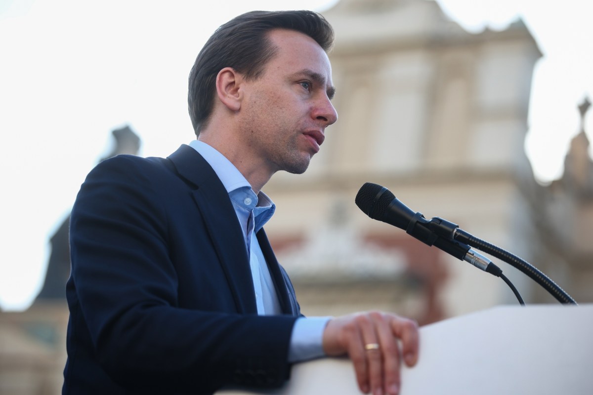 Końskie zaloty PiS do Konfederacji? "Jeśli macie kogoś ciekawego, to go wystawcie. Pozdrawiam"