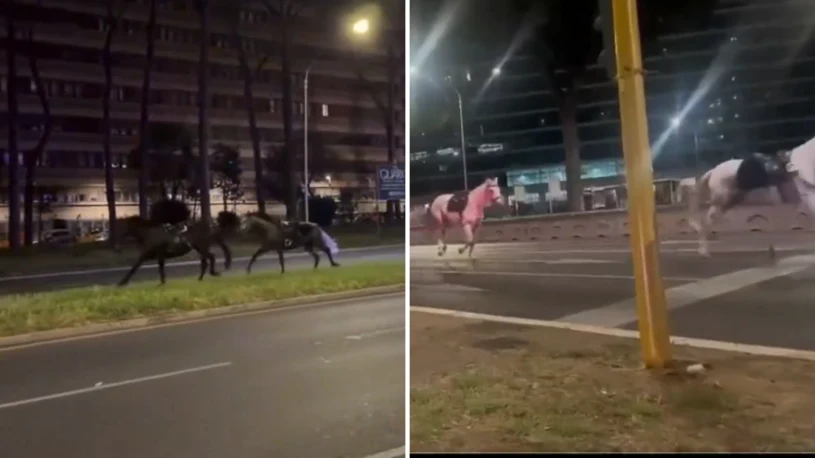 Chaos on the streets of Rome. Frightened horses galloped through the city, there are injuries
