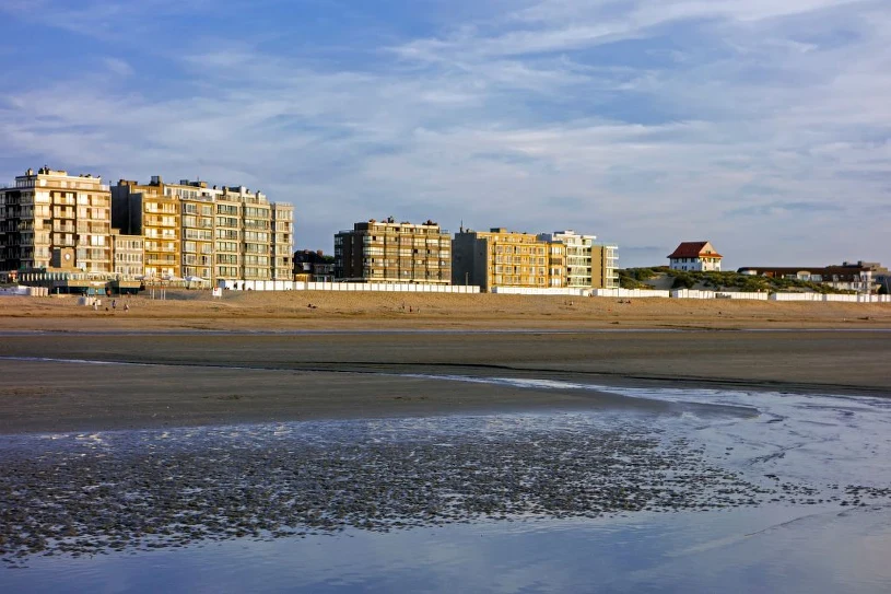 Dziesiątki rekinów na europejskiej plaży. Ekspertka wskazuje powód