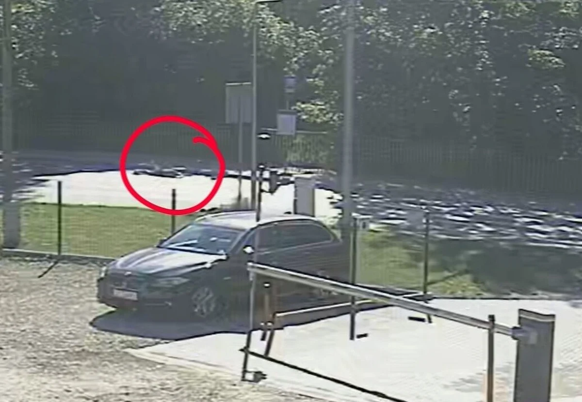 Policja opublikowała nagranie z monitoringu, na którym widać potrącenie 17-latki na przejściu dla pieszych w Świerklańcu. Część kierowców - widząc leżącą na ziemi kobietę - nie zareagowała i odjechała z miejsca zdarzenia. 
