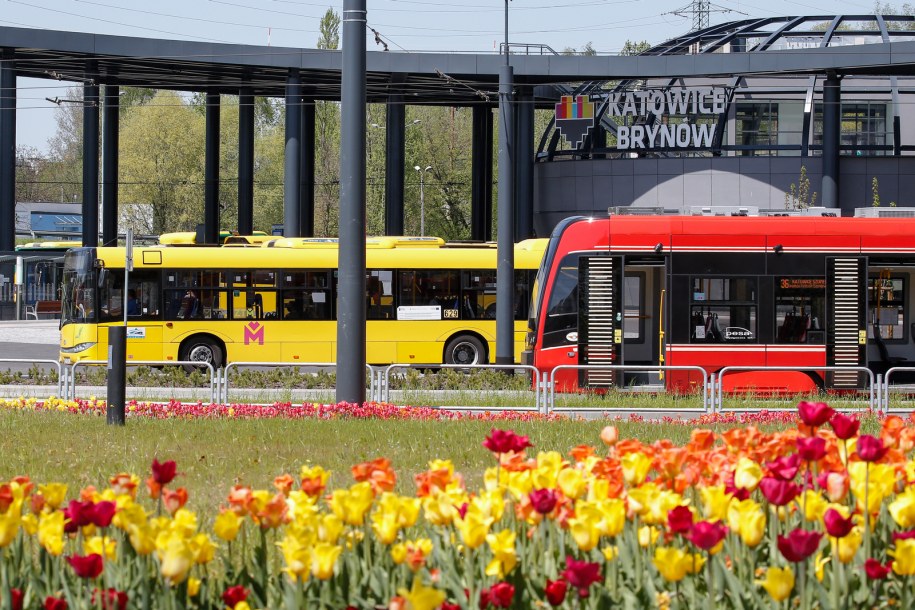 /Materiały prasowe