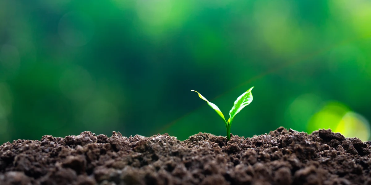 Najnowsze badania klimatyczne przynoszą nieoczekiwane wieści - najczarniejszy scenariusz globalnego ocieplenia został oficjalnie usunięty z prognoz naukowców. Czy to oznacza, że ludzkość uniknie klimatycznej katastrofy? Eksperci ostrzegają – to dopiero początek drogi, a przyszłość naszej planety wciąż zależy od naszych decyzji. 
