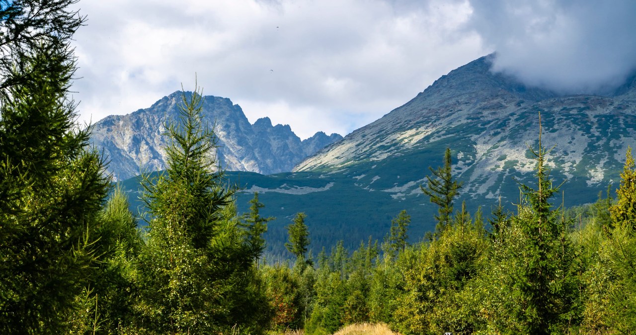 Najlepsza ścieżka rowerowa w Zakopanem. Jedziesz z widokiem na Giewont