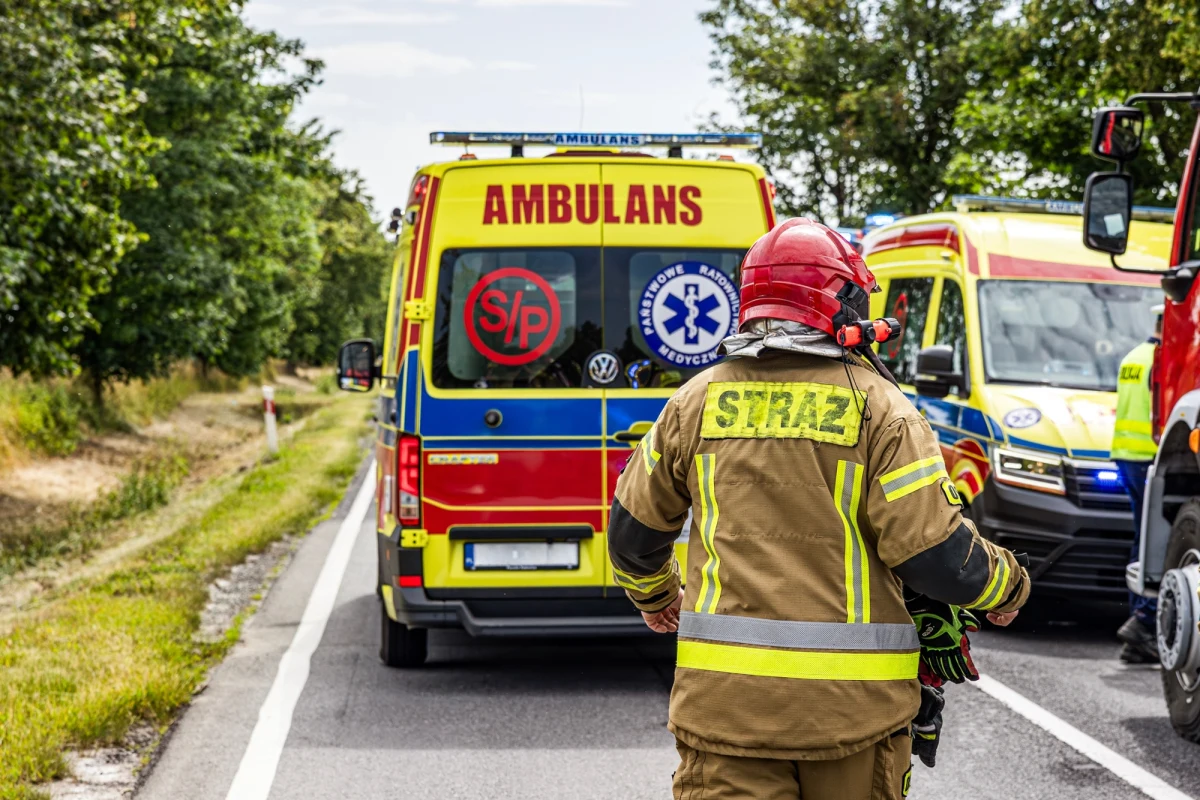 Tragiczny poranek w Świdnicy w woj. lubuskim. Na drodze krajowej nr 27 dachował samochód osobowy. Jedna osoba zginęła, a dwie zostały ranne. Ze wstępnych ustaleń policji wynika, że samochód zderzył się z dzikiem, który wybiegł przed pojazd.