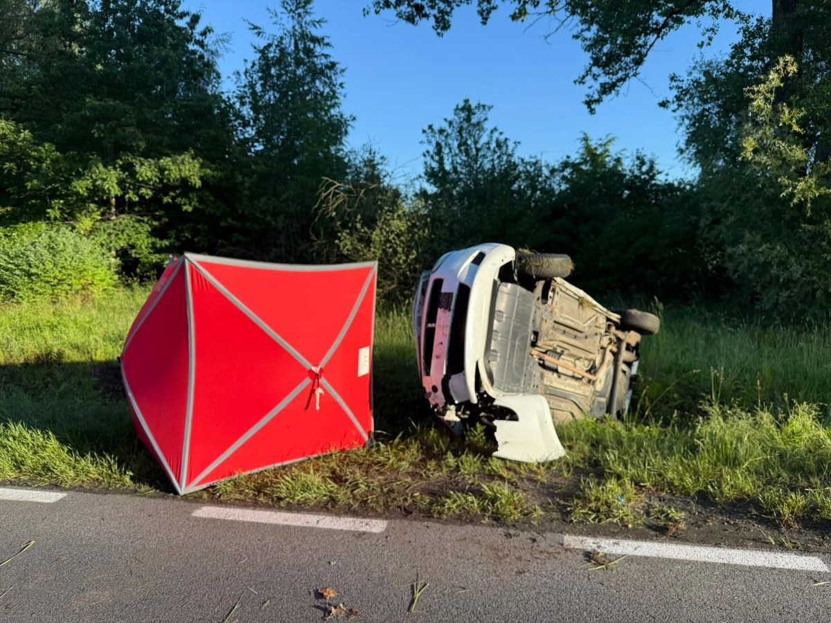Rodzinna podróż zakończyła się tragedią. Samochód zderzył się z dzikiem