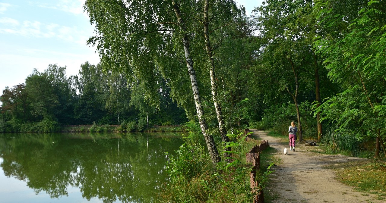 Mało kto zna ten park w Krakowie. Idealne miejsce na letni spacer