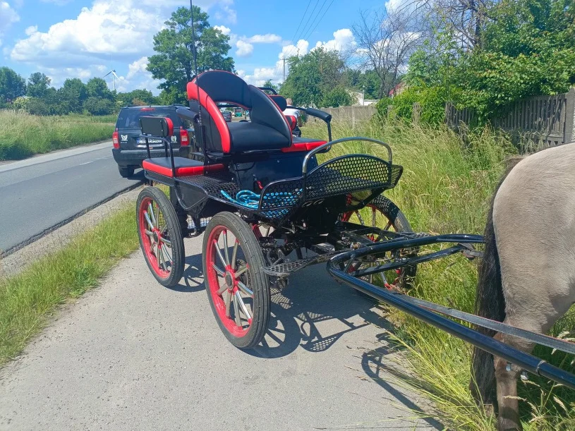 Wypadek na pielgrzymce. Proboszcz poszkodowany, trafił do sz
