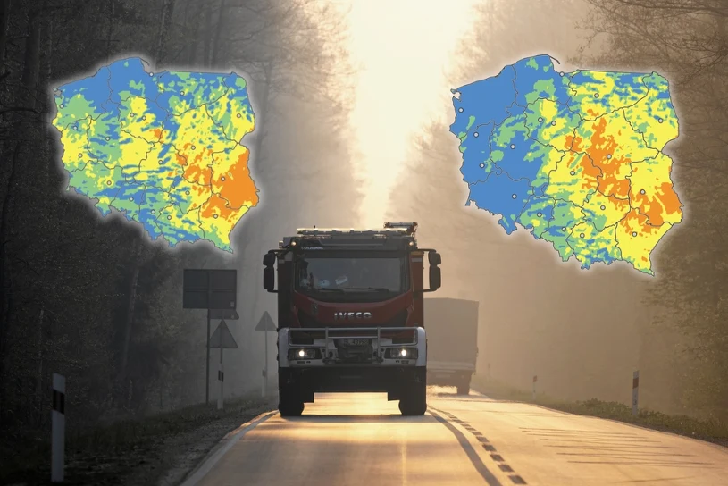 Niebezpieczna sytuacja w polskich lasach. "Wystarczy chwila nieuwagi"