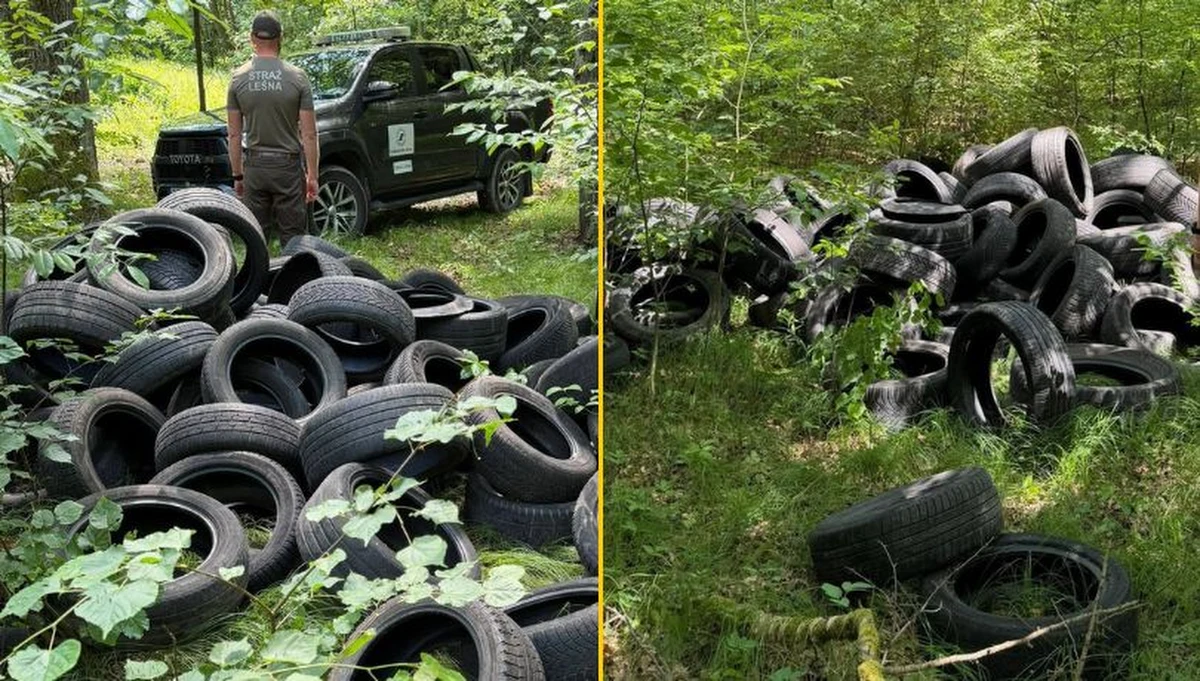 Ponad 50 opon zostało porzuconych na terenie Leśnictwa Lipowa, 700 metrów na południe od wsi Lipowa w województwie opolskim. Nieznany sprawca przywiózł je do lasu podczas długiego weekendu przy okazji Bożego Ciała, czyli między 4 a 7 czerwca. Nadleśnictwo zwróciło się z prośbą o pomoc i wszelkie informacje, które mogą pomóc w ustaleniu sprawcy.