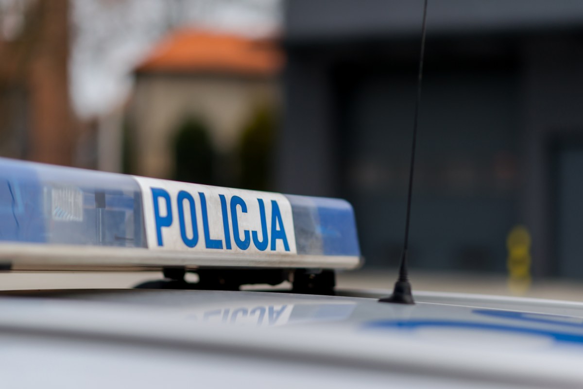 Samochód uderzył w drzewo i stanął w płomieniach. Policja znalazła trzy ciała