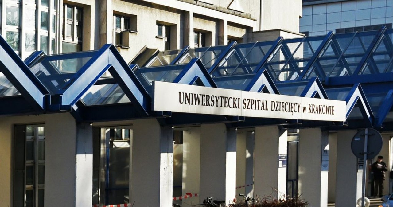 Kraków. Nastolatek ukąszony przez żmiję lewantyńską. „Stan się poprawia” Kraków. Nastolatek ukąszony przez żmiję lewantyńską. „Stan się poprawia”