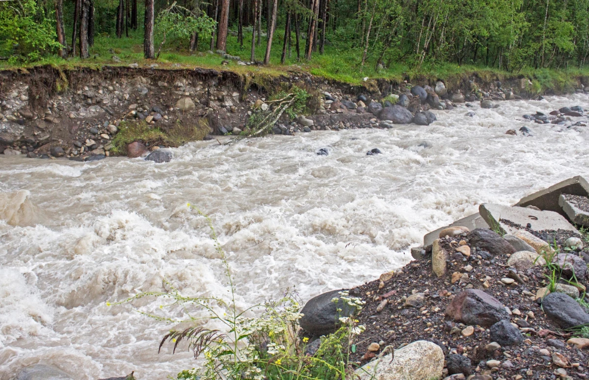 Po nocnych, intensywnych opadach deszczu pogorszyła się sytuacja hydrologiczna w Małopolsce. Jak informuje IMGW, w regionie doszło do gwałtownych wzrostów poziomu wód w górskich potokach i rzekach, a lokalnie przekroczone zostały stany ostrzegawcze.