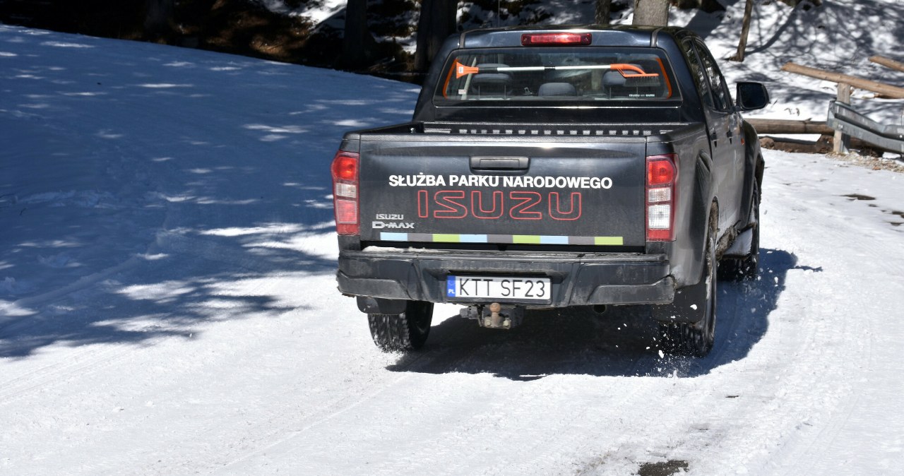 TPN wyprzedaje flotę. W ofercie Mitsubishi, Skoda , a choćby Lamborghini