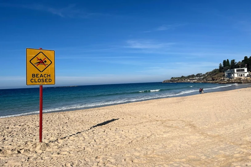 Atak rekina niedaleko plaży w Sydney. Wciągnął kobietę pod wodę