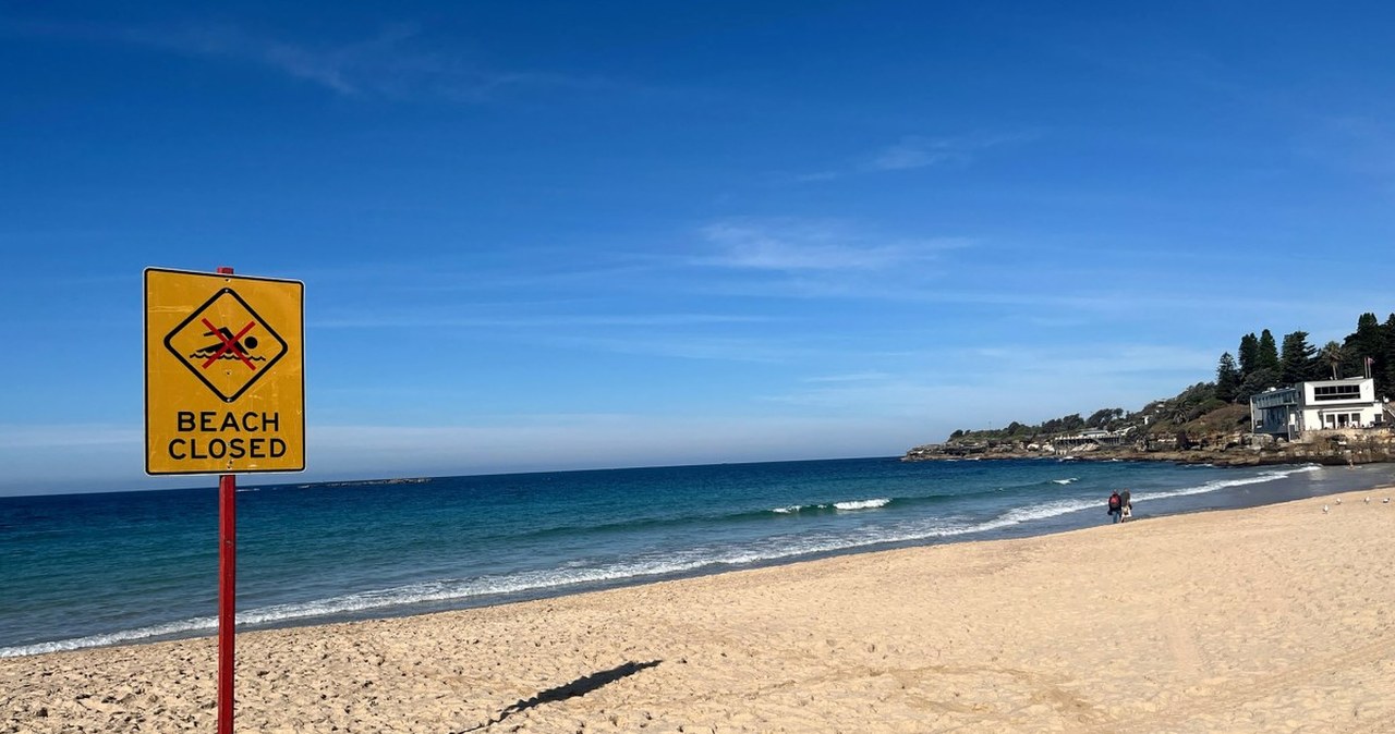 Australia. Poważny atak rekina na kobietę w Sydney, niedaleko od brzegu Australia. Poważny atak rekina na kobietę w Sydney, niedaleko od brzegu