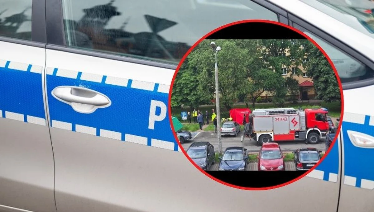 Dramatyczne wydarzenia rozegrały się dzisiaj w Białej Podlaskiej (woj. lubelskie). Na jednej z ulic miasta doszło do śmiertelnego postrzelenia przechodnia. Policja prowadzi szeroko zakrojoną obławę na sprawcę.