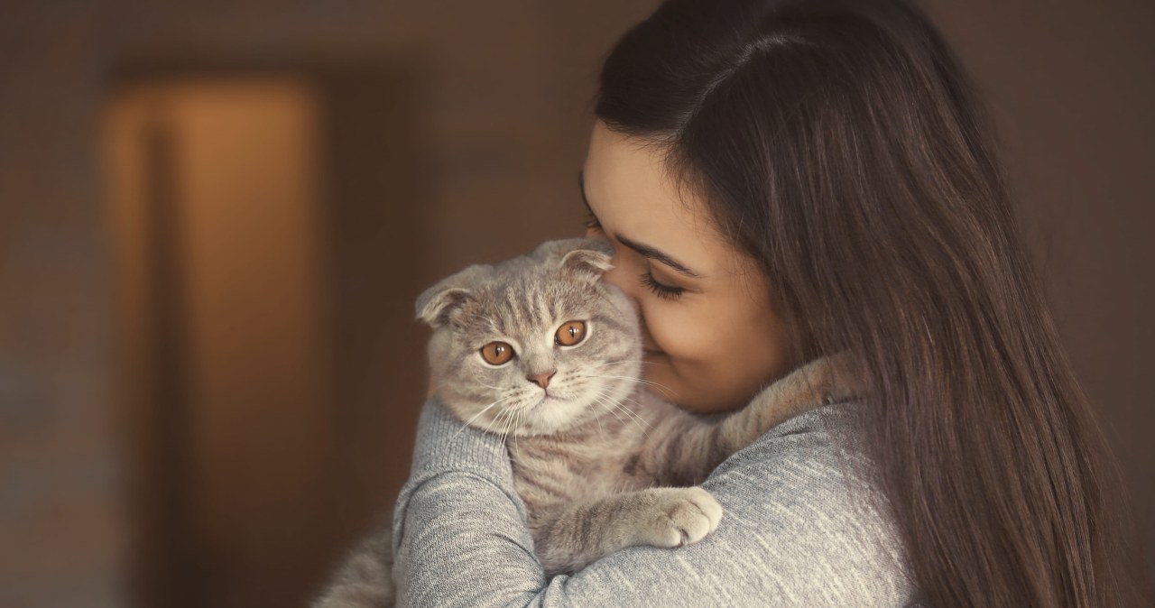 Twój kot cię ignoruje? Ten cichy komunikat łatwo źle zrozumieć