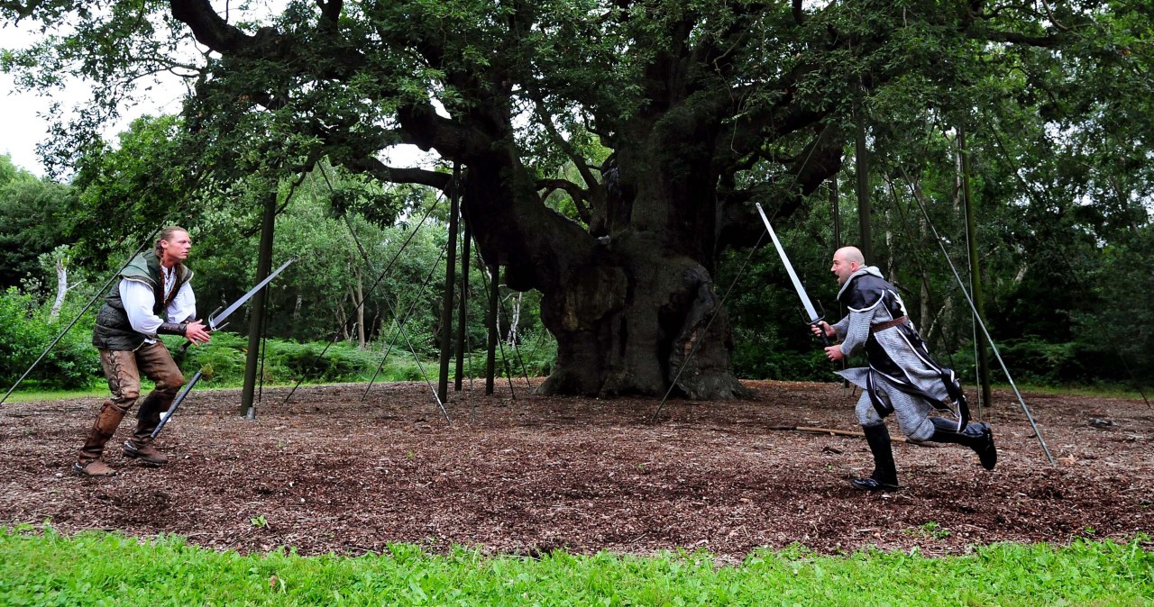 Podobno chronił się w nim Robin Hood. Umarł prastary, legendarny dąb Podobno chronił się w nim Robin Hood. Umarł prastary, legendarny dąb