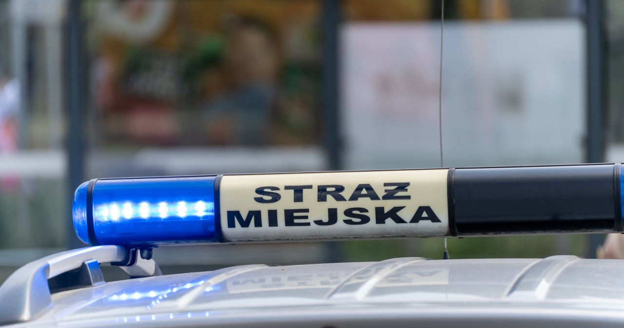 Bogatynia: Chłopiec sprzedawał lemoniadę przy drodze. Wezwano służby Bogatynia: Chłopiec sprzedawał lemoniadę przy drodze. Wezwano służby