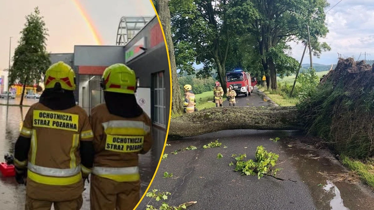 W niedzielę, do godz. 17 strażacy interweniowali 1010 razy w związku z przechodzącymi nad Polską burzami - poinformował rzecznik prasowy KG PSP st. kpt. Wojciech Gralec. Najwięcej interwencji miało miejsce w woj. wielkopolskim. W woj. zachodniopomorskim drzewo upadło na budynek szkoły. W sobotę zdarzeń związanych z burzami było prawie 900.