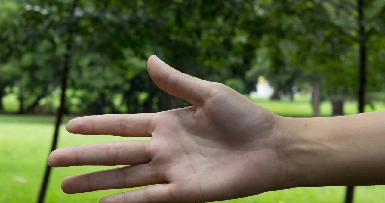 Masz taką linię na dłoni? Biolodzy wyjaśniają, co naprawdę oznacza