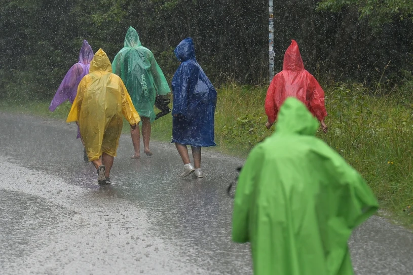 TPN pokazuje skutki uderzenia pioruna w drzewo. Apelują do turystów