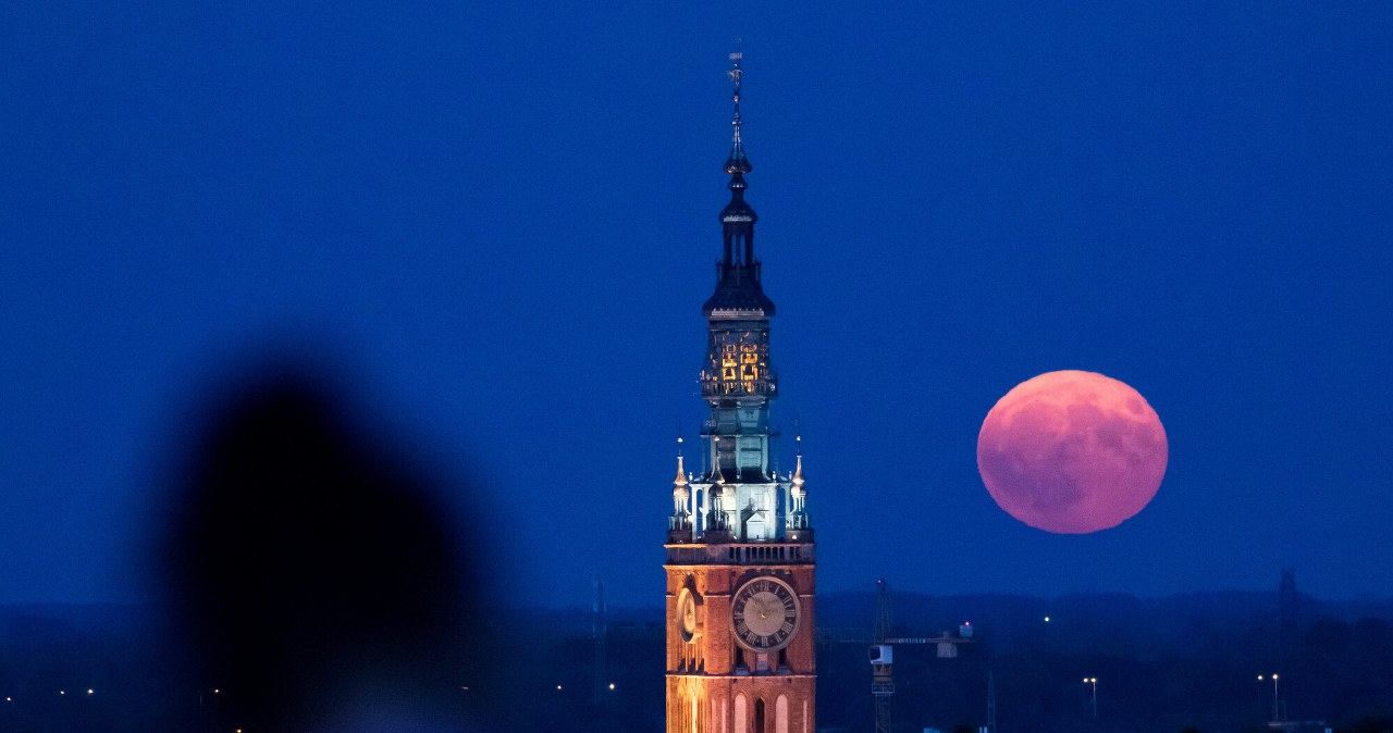 Zbliża się Truskawkowa Pełnia. Komu przyniesie szczęście?