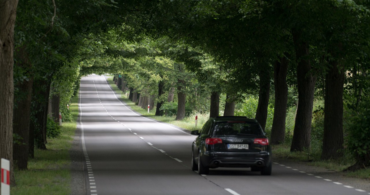 Najchętniej uczęszczana droga wojewódzka w Polsce. 48 tys. pojazdów na dobę
