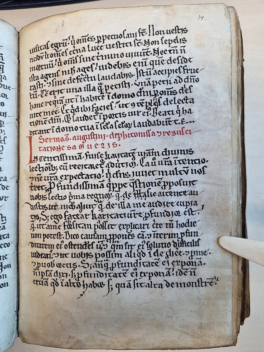 W polskiej bibliotece dokonano niezwykłego odkrycia, które może zrewolucjonizować rozumienie jednej z najbardziej tajemniczych historii biblijnych. Wśród kart średniowiecznego manuskryptu badacze natrafili na zaginione kazania św. Augustyna z Hippony, wybitnego teologa, którego myśl ukształtowała chrześcijaństwo Zachodu. Teksty odnalezione w Bibliotece Diecezjalnej w Pelplinie dotyczą opowieści o królu Saulu i Czarownicy z Endor, epizodu, który od wieków budził niepokój i fascynację zarówno wśród teologów, jak i wiernych. Odkrycia dokonał profesor Christian Tornau, wybitny filolog klasyczny z Uniwersytetu w Würzburgu, który obecnie pracuje nad pierwszym krytycznym wydaniem tych tekstów we współpracy z renomowanym zespołem edytorskim Corpus Scriptorum Ecclesiasticorum Latinorum (CSEL).