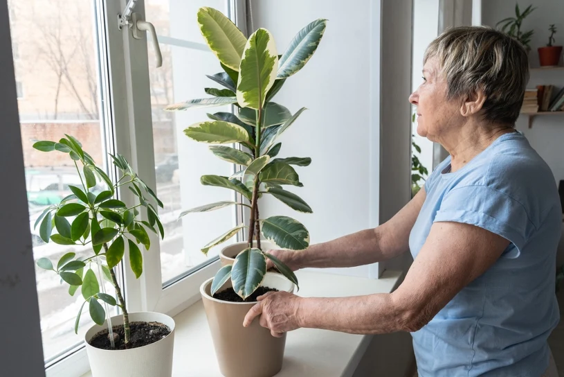 Close your blinds before 9 a.m. to keep your home cool in summer heat